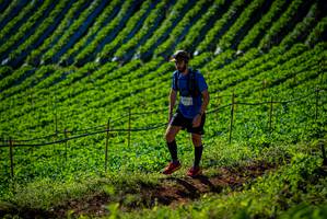 BIB: 
                            <button type="button" onclick="openModal(19160740)" class="btn btn-primary btn-sm float-right btn-popup" data-toggle="modal" data-target=".modal-high-quality">
                        <i class="fas fa-shopping-cart"></i> Add to Cart
                    </button>
                                            <button type="button" onclick="isThisMe(19160740, true)" class="btn btn-success btn-sm float-right btn-popup btn-isme hidden" data-toggle="tooltip" data-placement="bottom" title="นี่คือรูปของคุณใช่ไหม คลิกที่นี่เพื่อเอาเข้าอัลบั้ม">
                        <i class="fas fa-plus"></i> Add to album
                    </button>
                    <button type="button" onclick="isThisMe(19160740, false)" class="btn btn-warning btn-sm float-right btn-popup btn-isnotme hidden">
                        <i class="fas fa-ban"></i> Remove from album
                    </button>